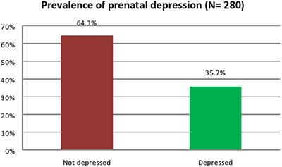 Prenatal Depression and Its Associated Risk Factors Among Pregnant Women in Bangalore: A Hospital Based Prevalence Study